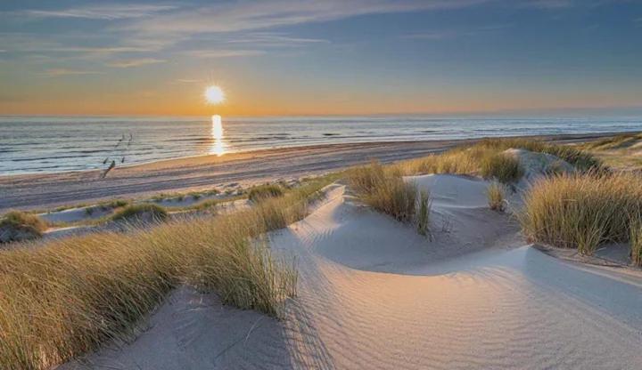 Bondi Beach Renesse Zewnętrze zdjęcie