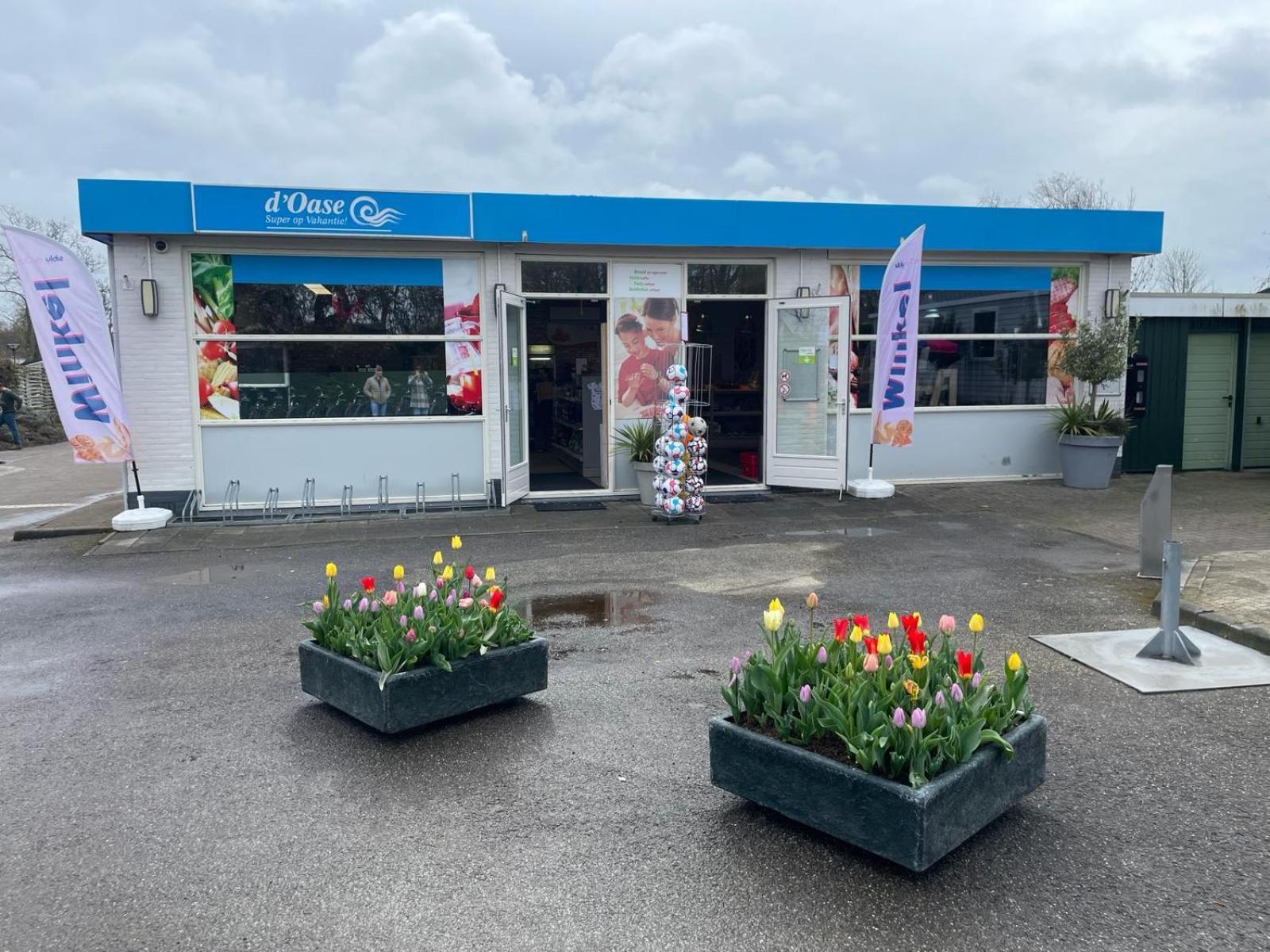 Bondi Beach Renesse Zewnętrze zdjęcie